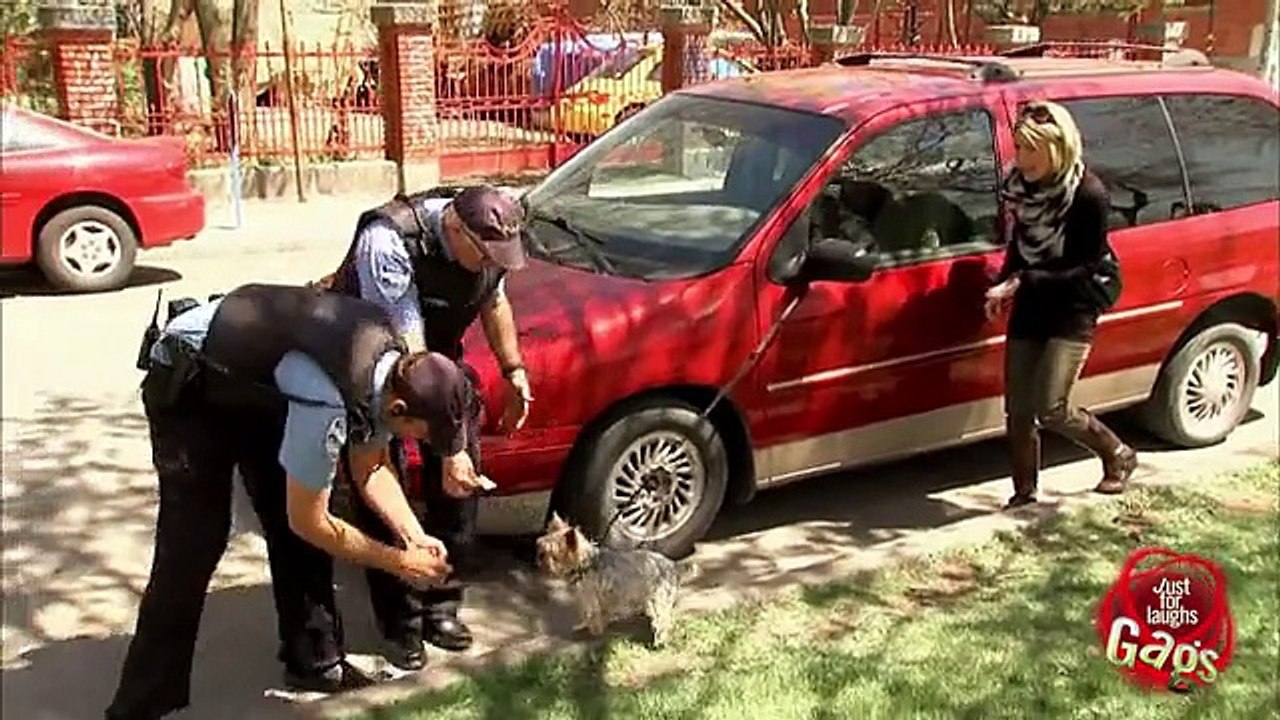 Strongest puppy in the WORLD