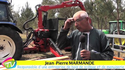 Fête de la forêt scierie