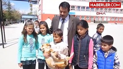 Afyonkarahisar Otomobil Çarpan Yaralı Köpeğe Çocuklar Sahip Çıktı