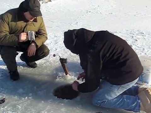 Poisson énorme péché dans un lac gelé : esturgeon de 2m