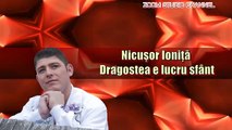 NICUSOR IONITA - DRAGOSTEA E LUCRU SFANT, ZOOM STUDIO