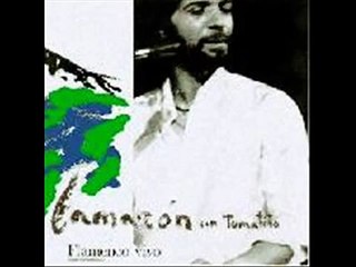 CASTILLO DE ALCALA  CAMARON DE LA ISLA