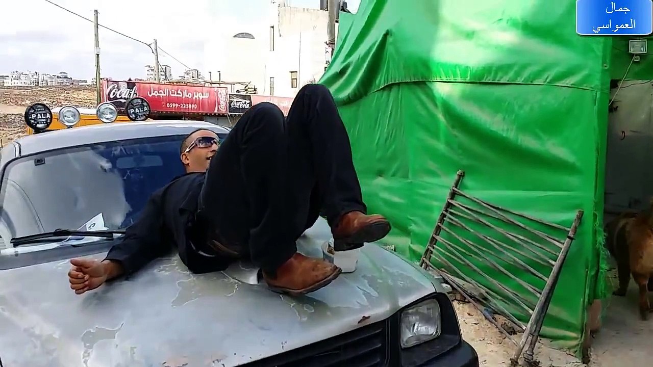 تحدي وجها لوجه بيني وبين الكلب الراعي القوقازي تايجر ولاكنه تمكن مني وعضني مع جمال العمواسي