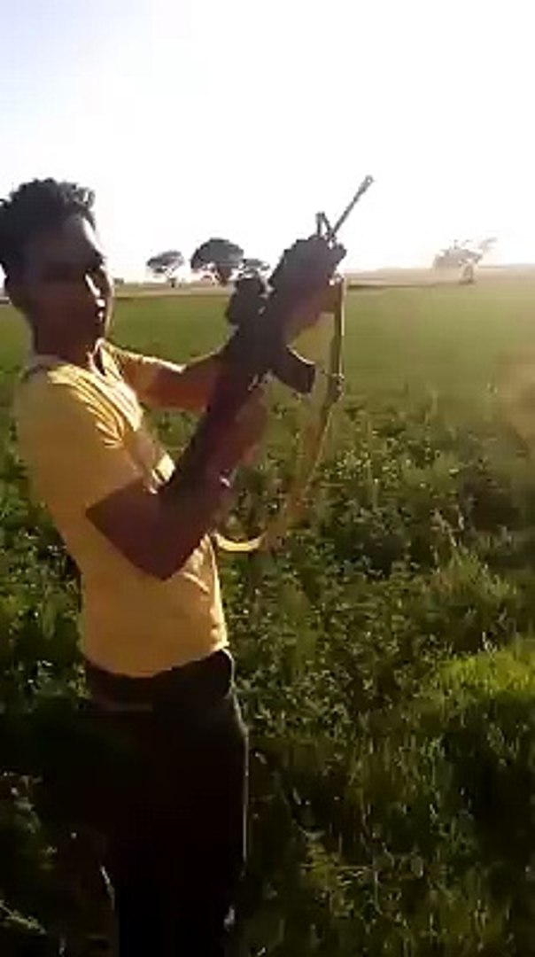 Pakistani talent
