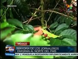 Más de 2 millones de jornaleros agrícolas en México son explotados