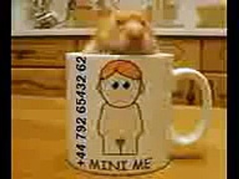 harry the hamster tells you about humpty dumpty (SWEARING)