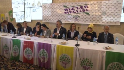 Hdp Eş Genel Başkanı Yüksekdağ