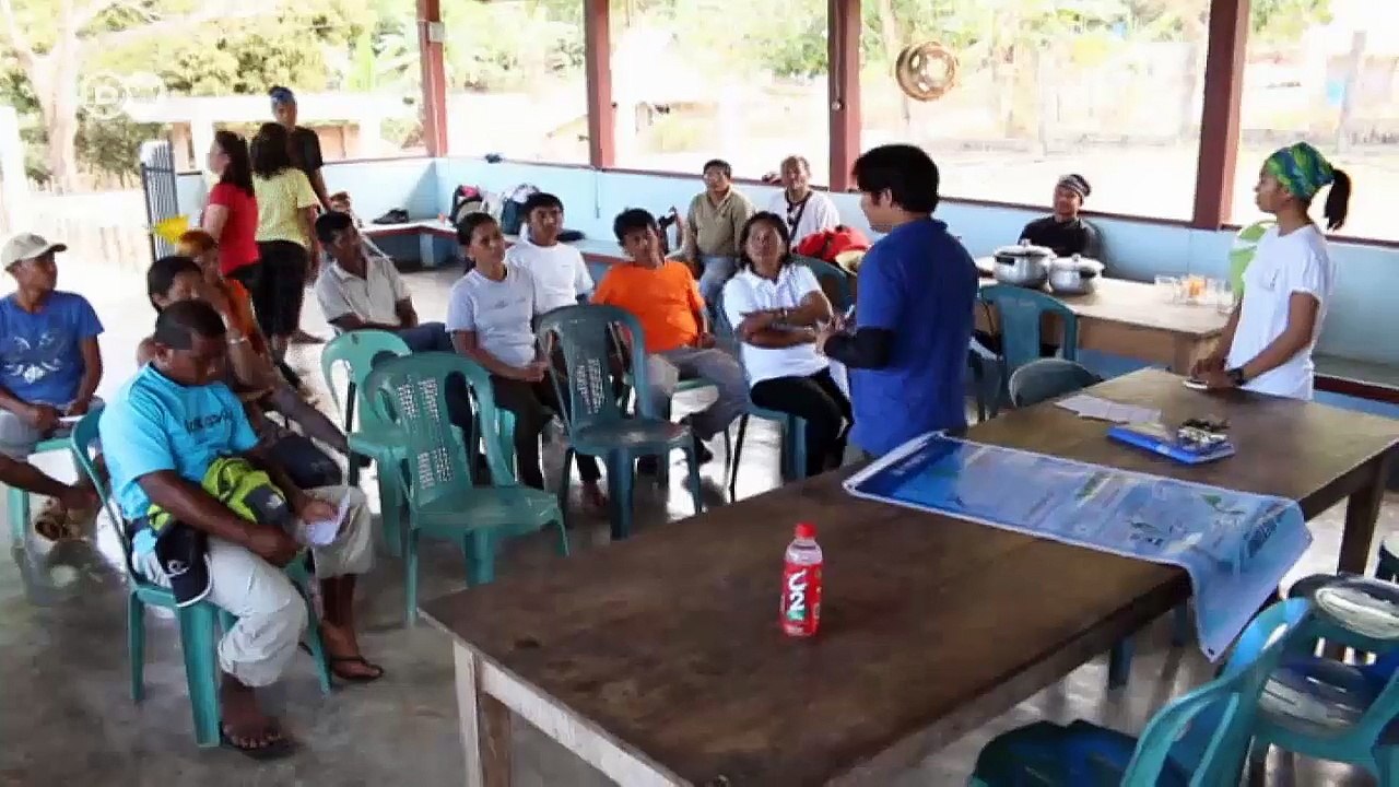 Voluminoso, apacible y amenazado: el manatí en Filipinas |