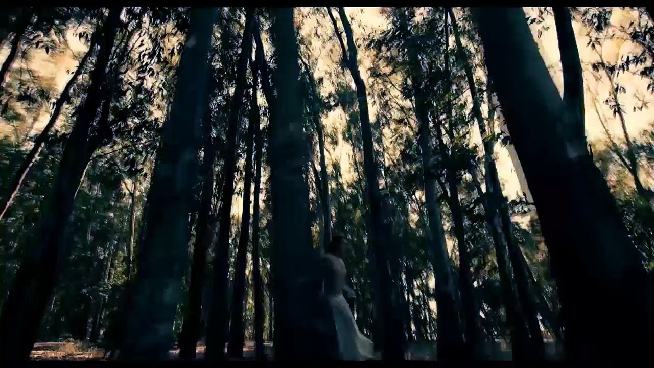 LES LETTRES PORTUGAISES - Bande-annonce VF