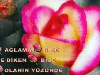 Uçun Kuşlar Medine'ye