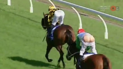 Le Jockey Blake Shinn perd son pantalon en pleine course
