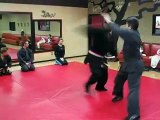 Goshin Jujitsu self-defense techniques