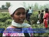 Enfants pauvres forcés au travail en Inde