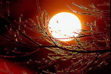 Norah Jones   Shoot the Moon