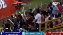 Mineros de Guayana 3 vs 0 Huracan - Copa Libertadores 2015