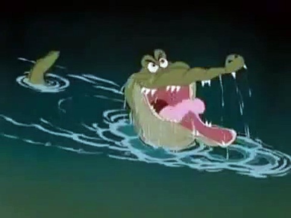 Hook VS Crocodile