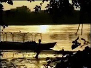 Pakistan Air Force Song - Shaheen Hoon