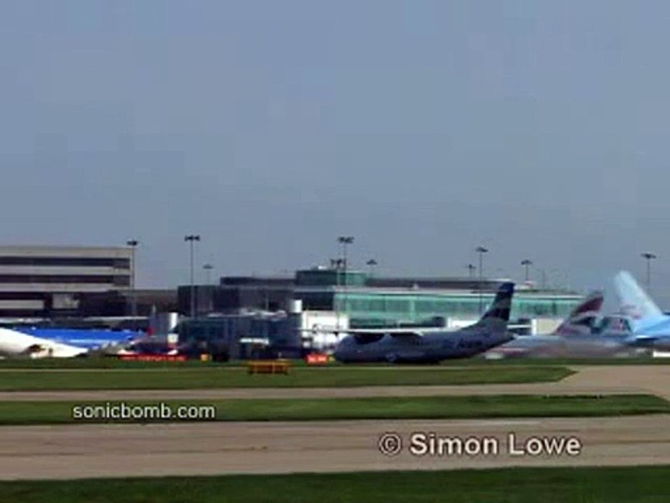 Plane and Bird Video