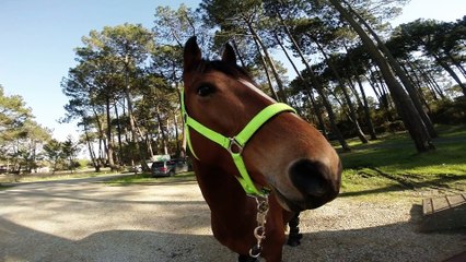 Horse Surfing Gouner Team Avril 2015