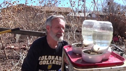 Honey Ain't Free - Pampered Bees theOZer Style