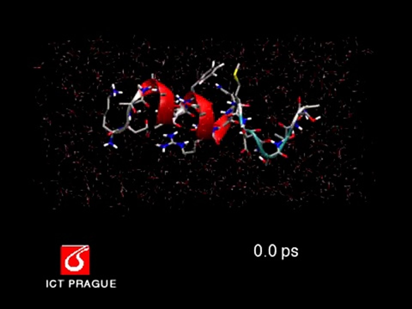 Molecular dynamics simulation