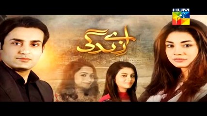 Aye Zindagi Episode 8 Promo Hum TV Drama 23 April 2015