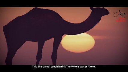 Prophet Saleh (A.S.) And The Nation Of Thamud