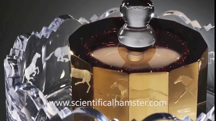 Praxinoscope by Jasper Dowding