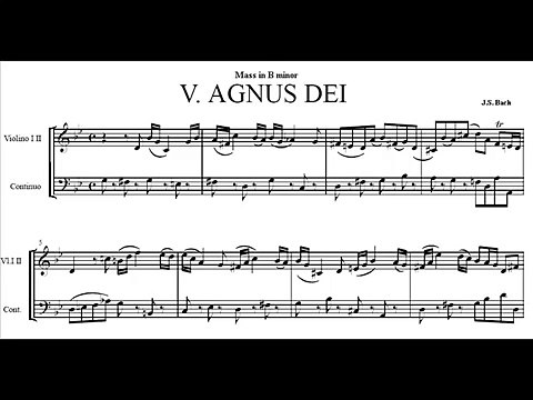J.S. Bach: Mass in B minor Agnus Dei - Andreas Scholl
