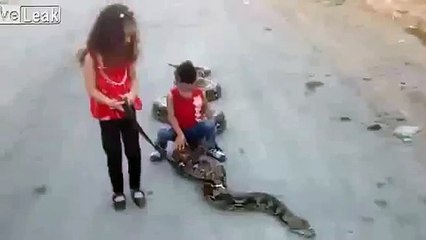 Brave Kids Playing With Biggest Snake Must Watch This Video
