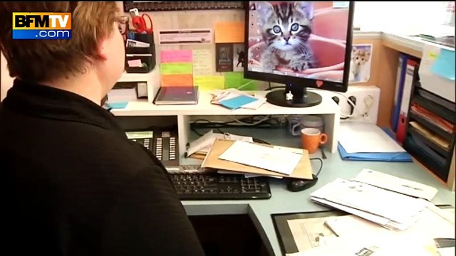 Meurtre d’Aurélie Châtelain: collecte et marche blanche à Caudry, sa ville du Nord