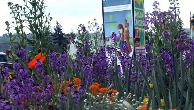23 AVRIL 2015 - PAU À L'HEURE DU CHAMPIONNAT DE FRANCE DES ÉCHECS
