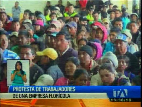 Trabajadores de empresa florícola participan en una protesta masiva