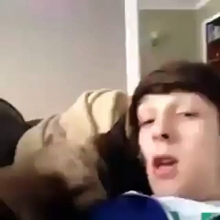 Angry Cat - Shut Up ! - Кот Заткнул Хозяина ! - Жесть !