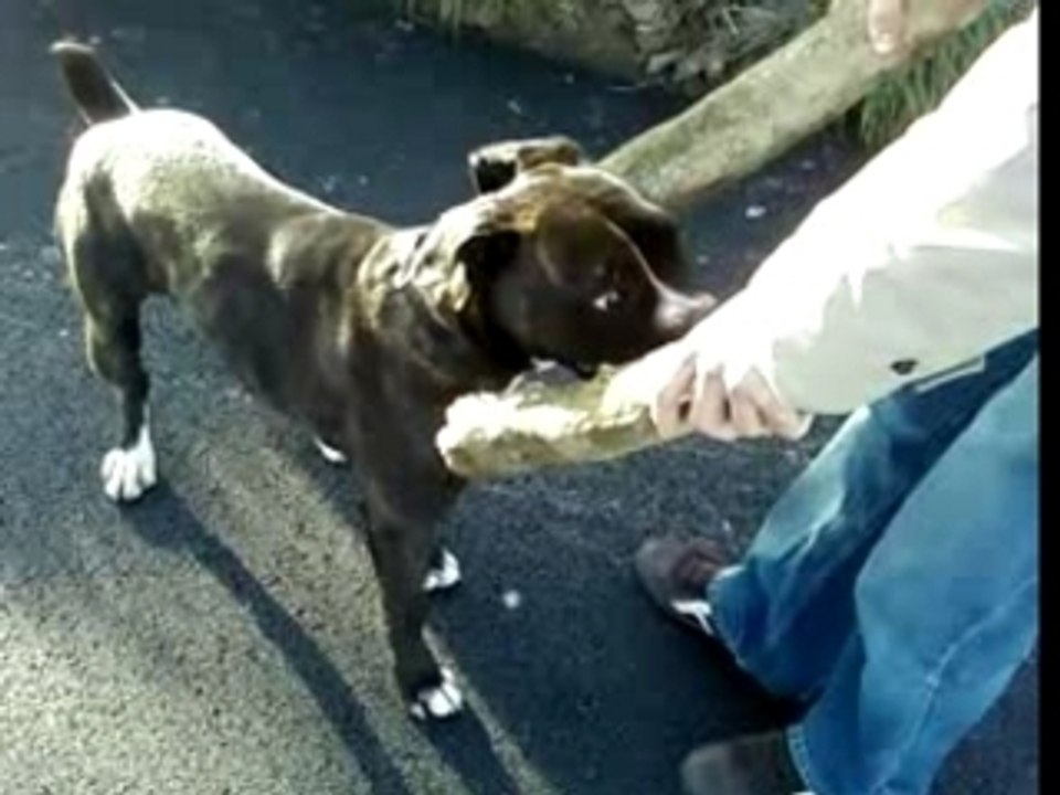 Des news de Bouba 6 mois