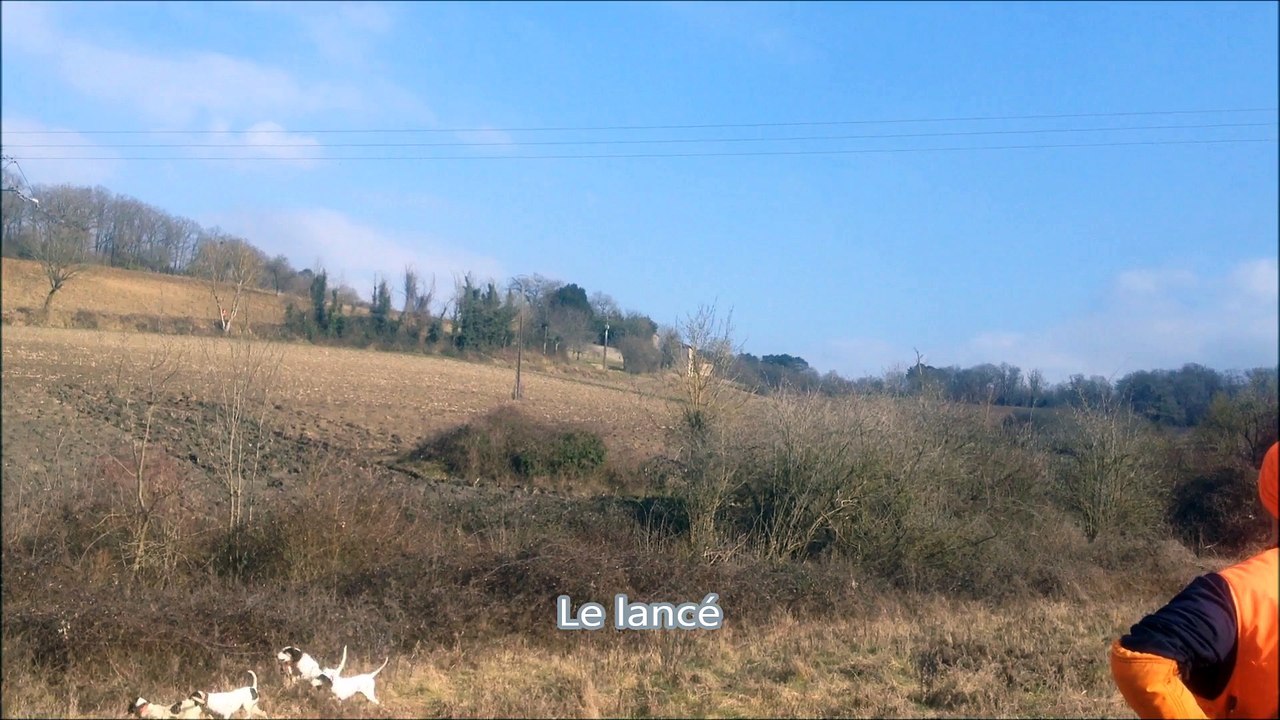 ferme sanglier