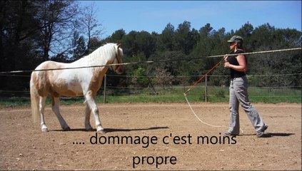 Defi EE MARS+AVRIL A pied