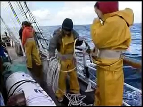 Tall Ships - Standing Tall