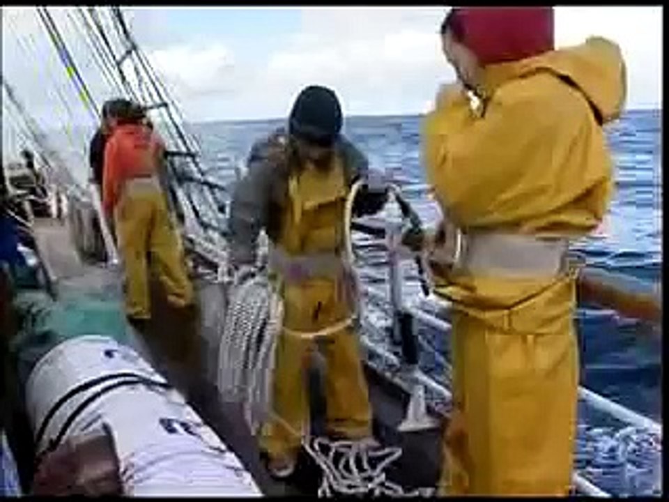 Tall Ships - Standing Tall