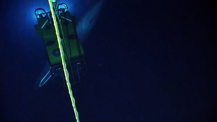 VIDEO : un sous marin rencontre un cachalot