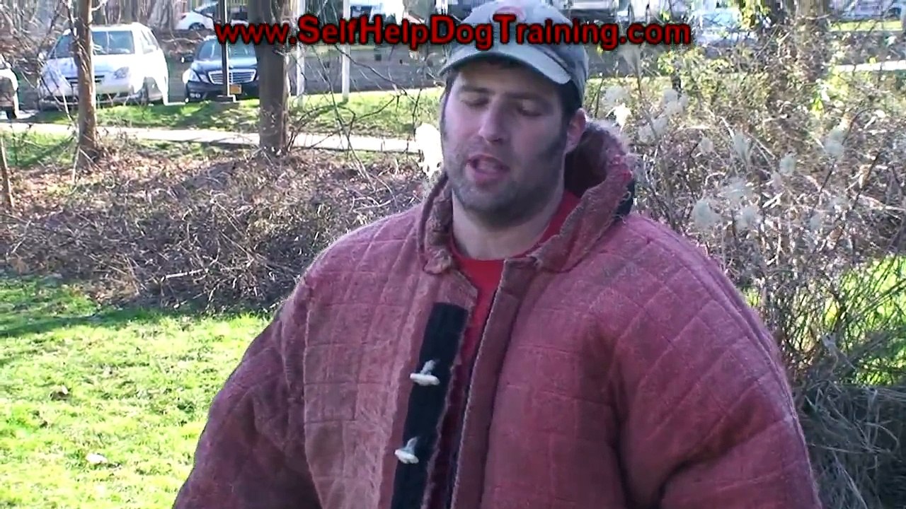 How to Train a Protection Dog to Hit Hard (K9-1.com)