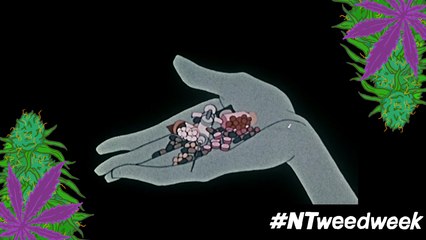 These Are The Lobbyists Keeping Weed Illegal