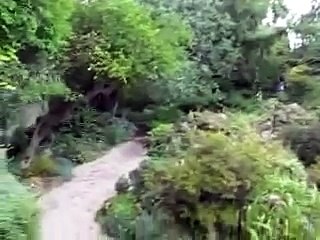 Axolotl, Julio Cortázar