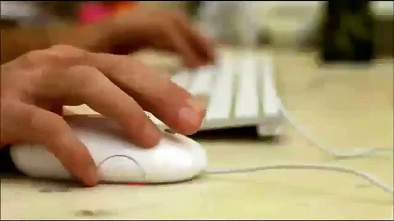 Free Background Checks Online - eVerify Background Checks