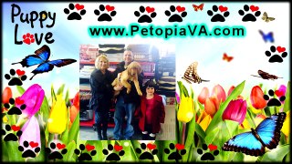 Pet Supplies Henrico VA | Petopia | 866.738.7972