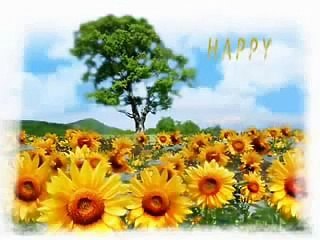 Members Club - Unexplainable Store!