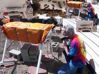 Spring Brings Drone Bees - Multi View Extended Version