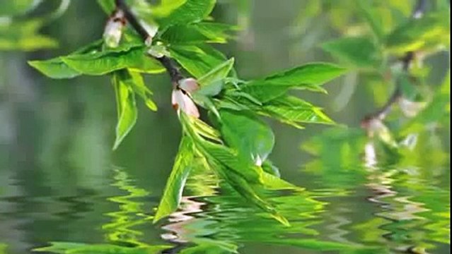 6 Hour Brain Power Study Music: Focus Music, Concentration Music, Studying Music, Work Mus