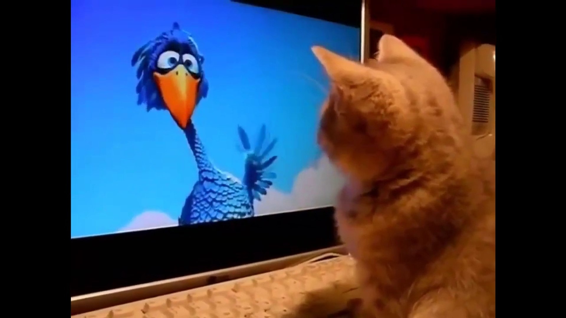 ⁣Funny Cats,Funny Dogs,Funny Pets videos 15