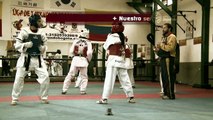 Taekwondo - Generalidades y técnicas